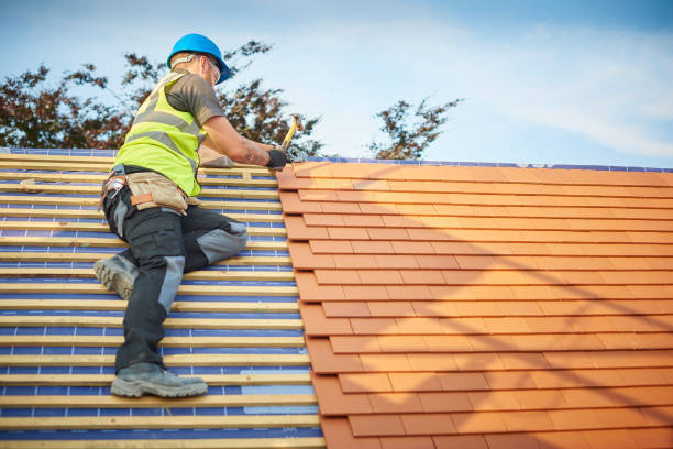 Best Roof Moss and Algae Removal  in Big Bear Lake, CA